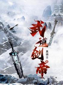 武道剑帝